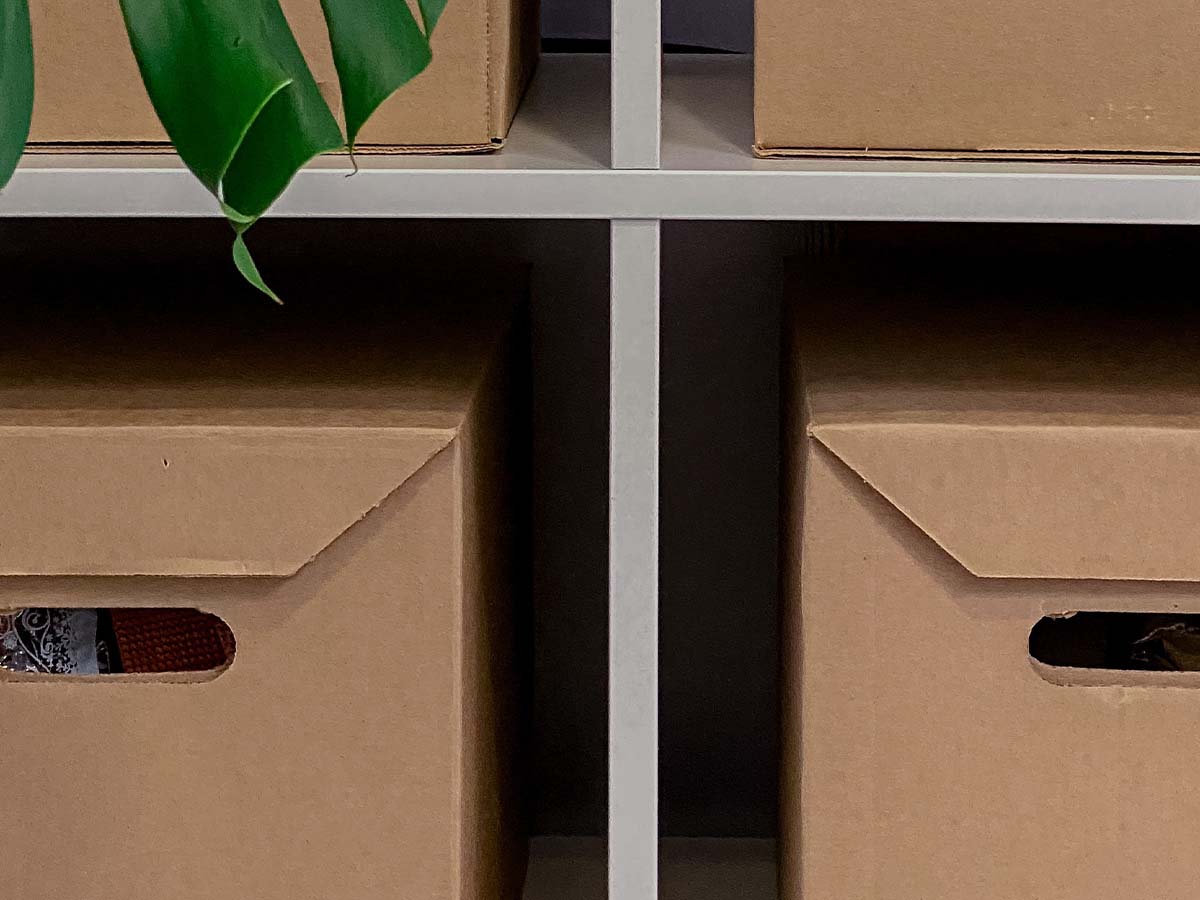 Storage boxes