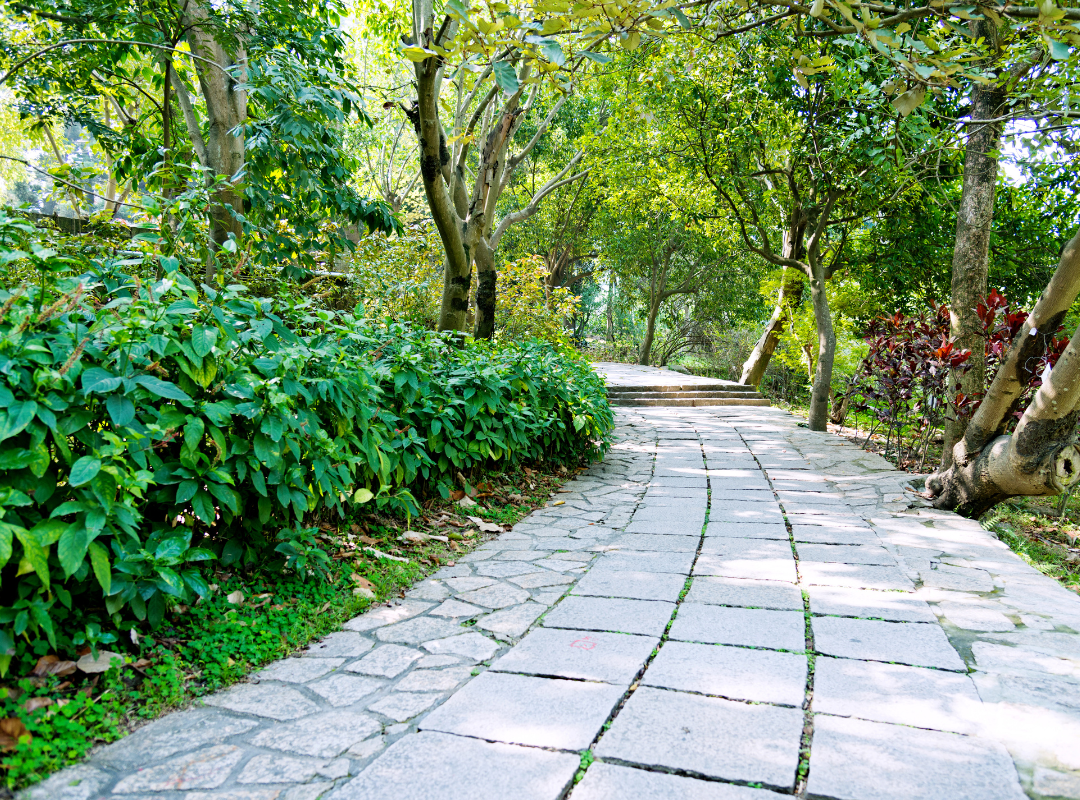 Pathway Lighting