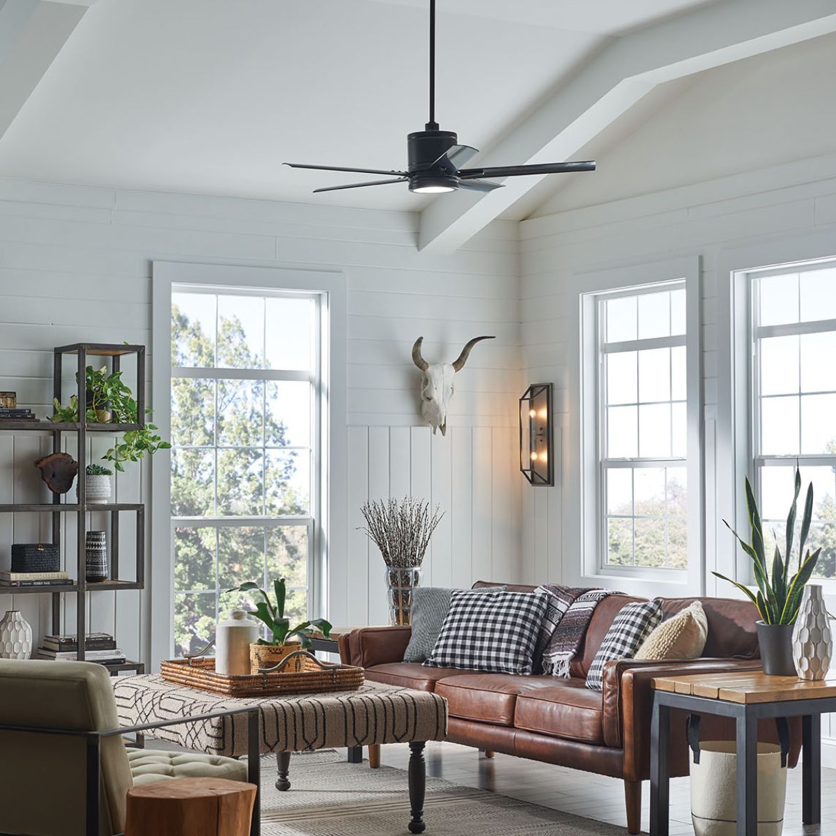 Image of a fan with other accent lighting around the room.